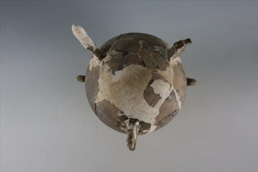 战国时期椭圆形直口环耳变异鹿状纽足彩绘泥质灰褐陶敦