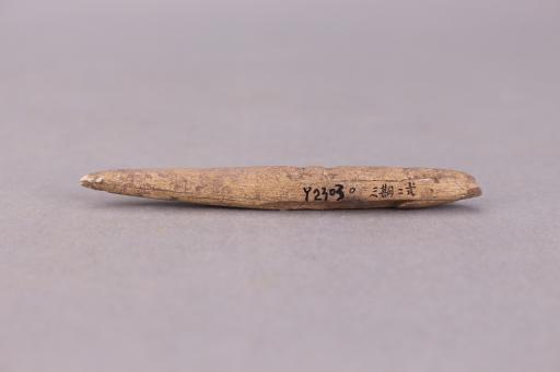 新石器时代骨锥