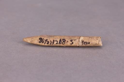新石器时代骨锥