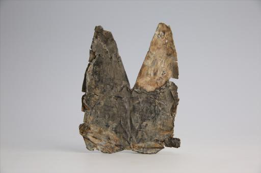 春秋时期曲顶燕尾形包锡箔锡饰片