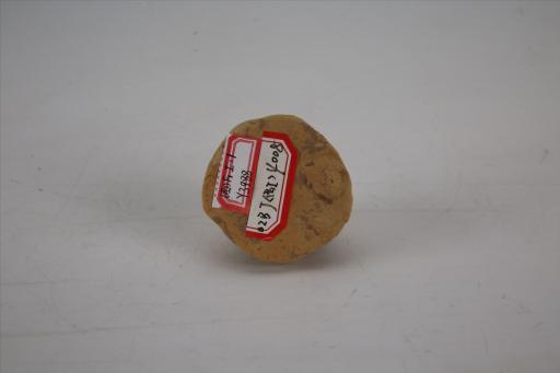 唐夹砂灰黄陶泥塑佛螺髻