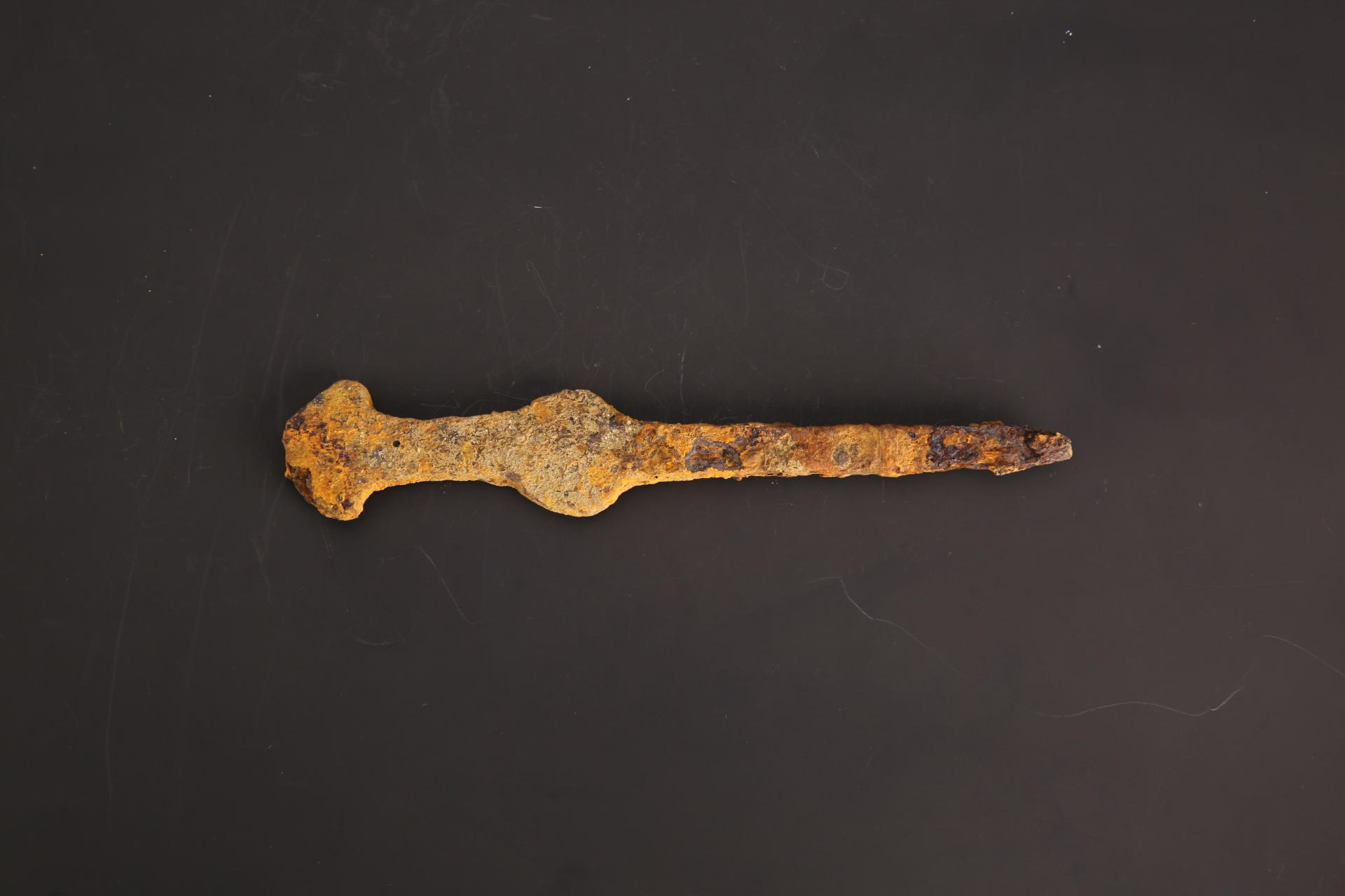 明伞盖状铁锥形器