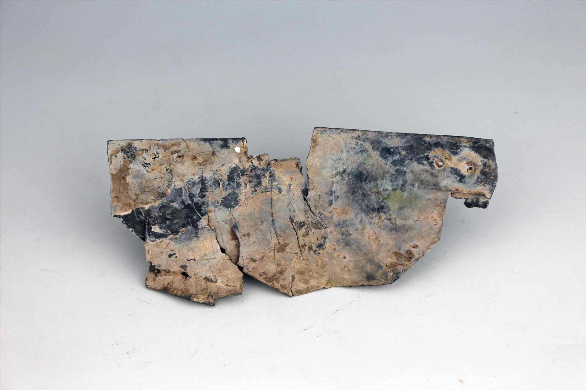 春秋时期屈体龙形包锡箔锡饰片