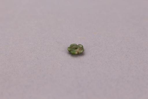 中华民国梅花形玉扣
