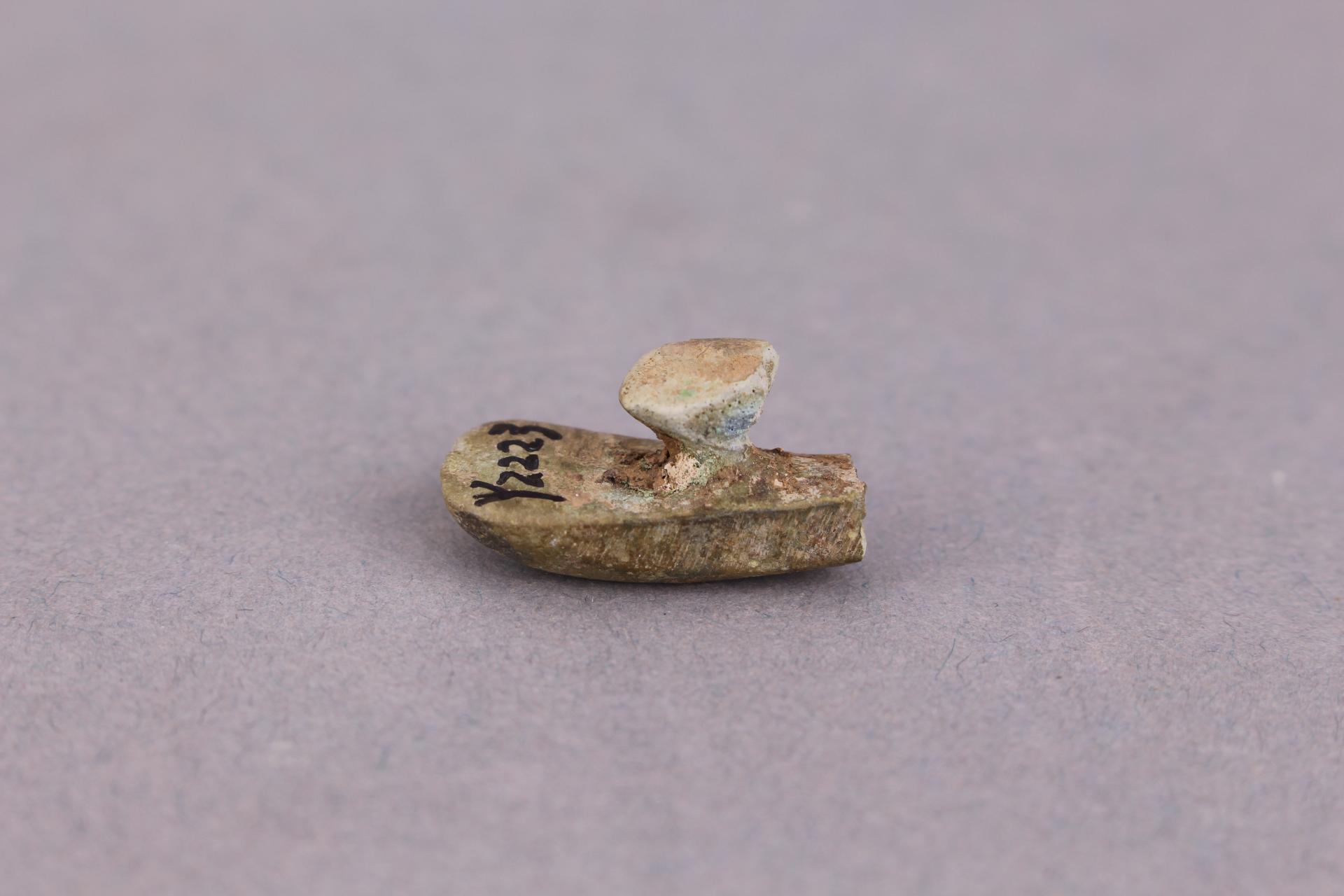 西汉圆扣铜带钩