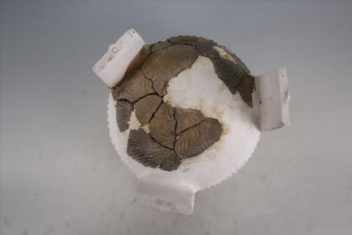 新石器时代石家河文化折腹宽扁足附加堆纹夹砂黑褐陶鼎