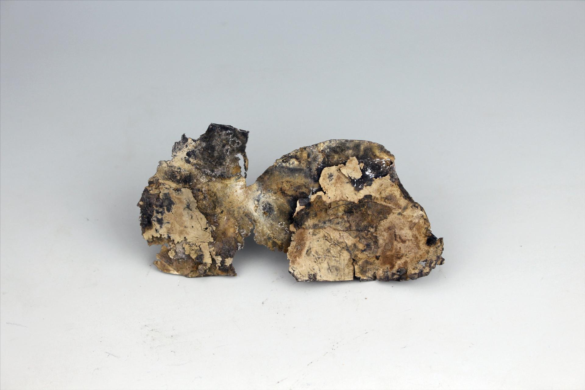 春秋时期屈体龙形包锡箔锡饰片