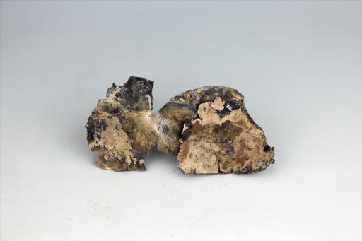 春秋时期屈体龙形包锡箔锡饰片