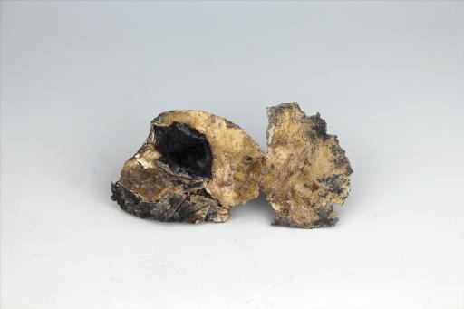 春秋时期屈体龙形包锡箔锡饰片