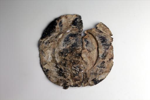 春秋时期平沿帽形锡饰片