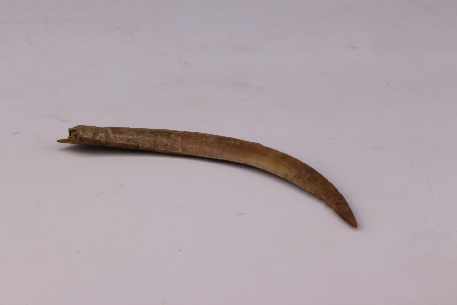 新石器时代大溪文化骨锥