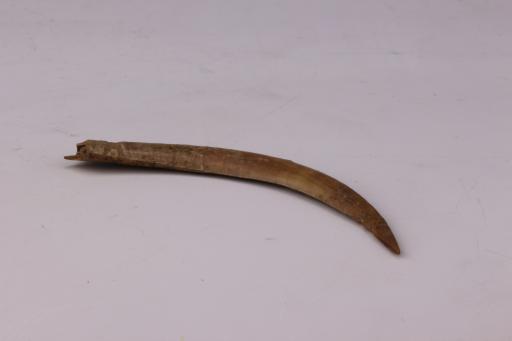 新石器时代大溪文化骨锥