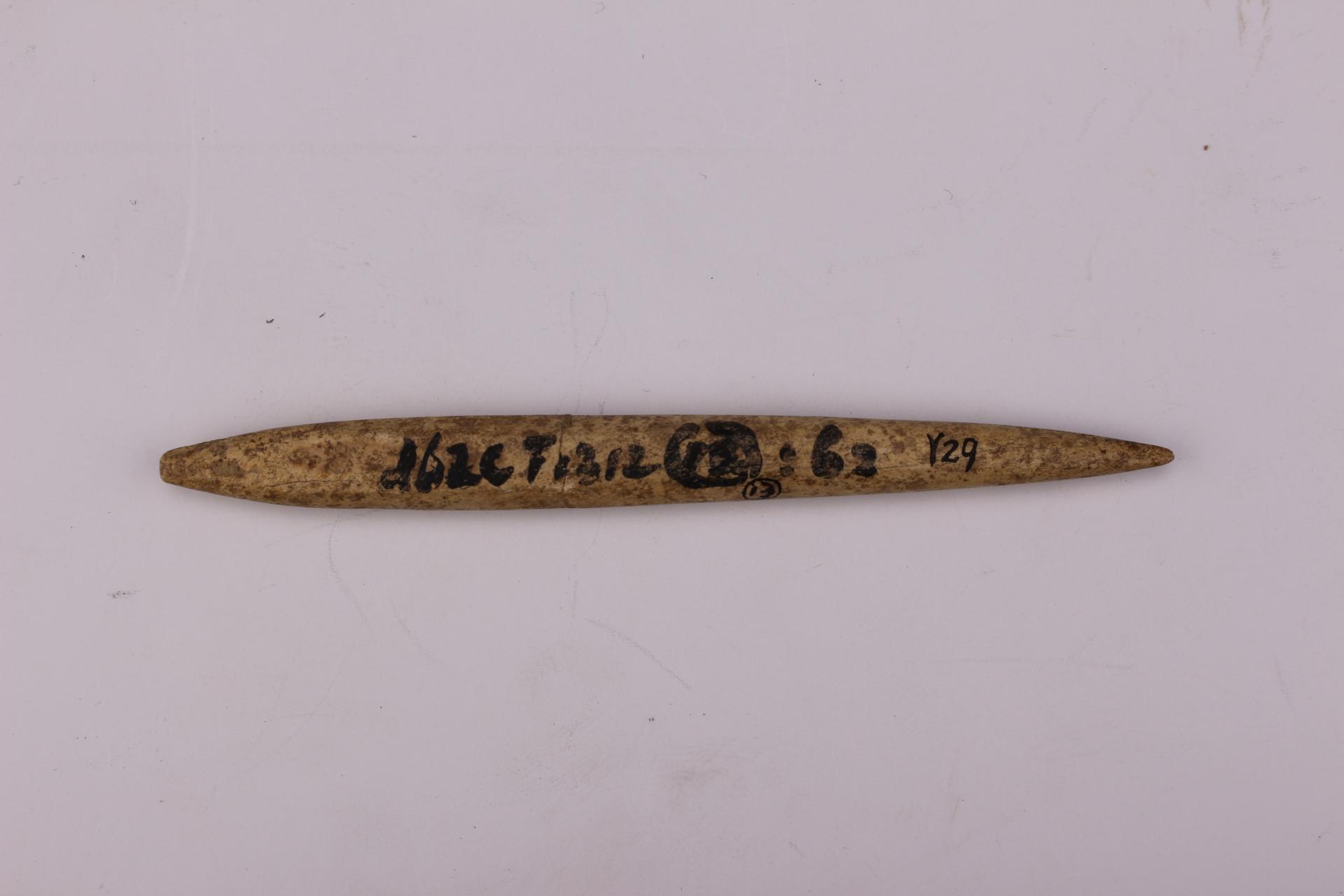 新石器时代城背溪文化骨锥