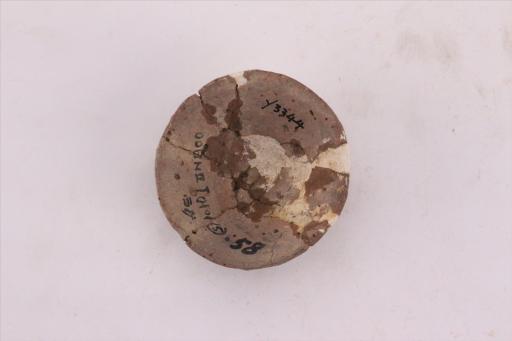 新石器时代城背溪文化敞口绳纹夹砂红褐碟