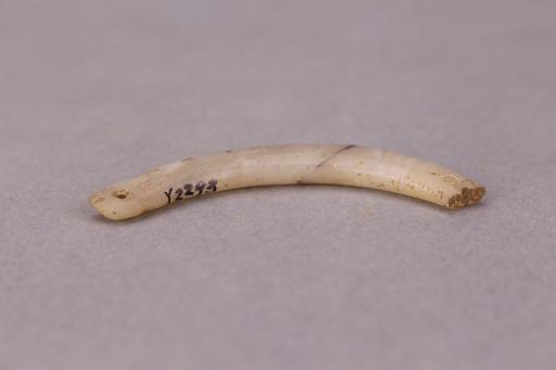 新石器时代穿孔玉璜