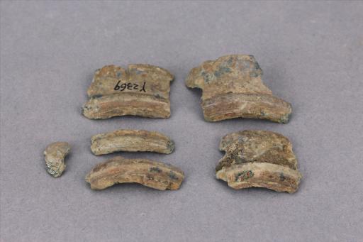 战国时期圆形铜伞箍