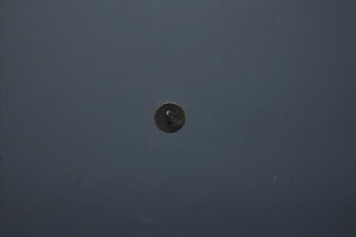 中华民国桥钮菊花纹铜纽扣