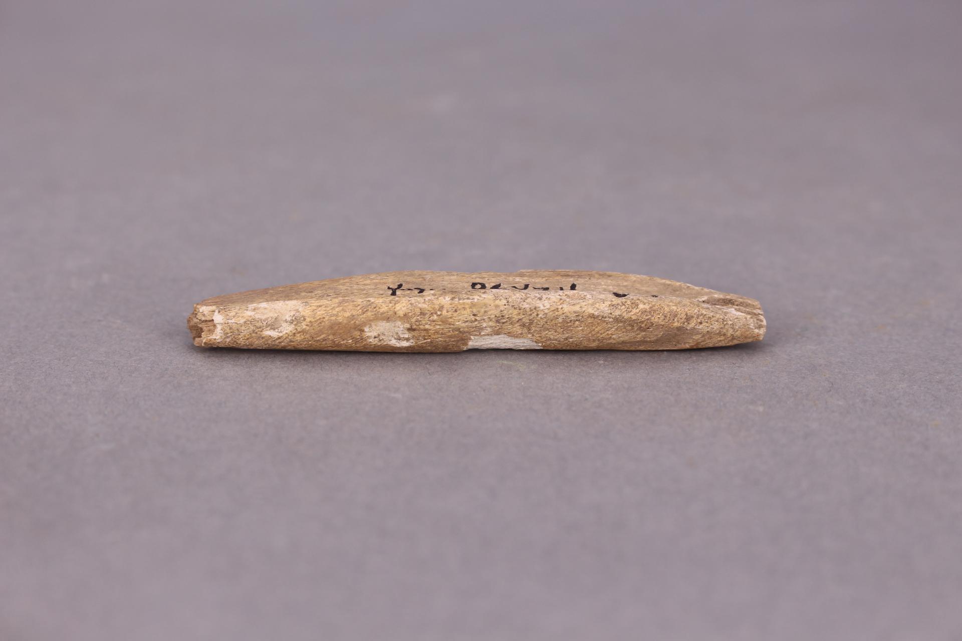 新石器时代骨锥