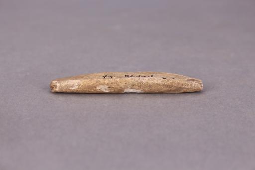 新石器时代骨锥
